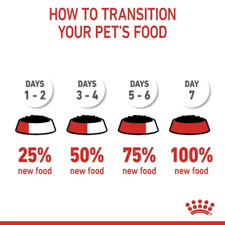 Royal Canin FCN Urinary Care in Jelly 85 gr.